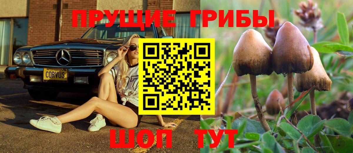 Галлюциногенные грибы MAGIC MUSHROOMS  Псилоцибиновые грибы прущие грибы  Воронеж  Вход с VPN 